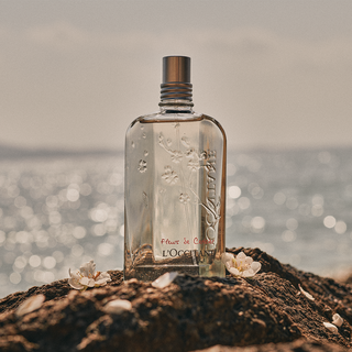 Flor de Cerejeira Eau de Toilette 75ml